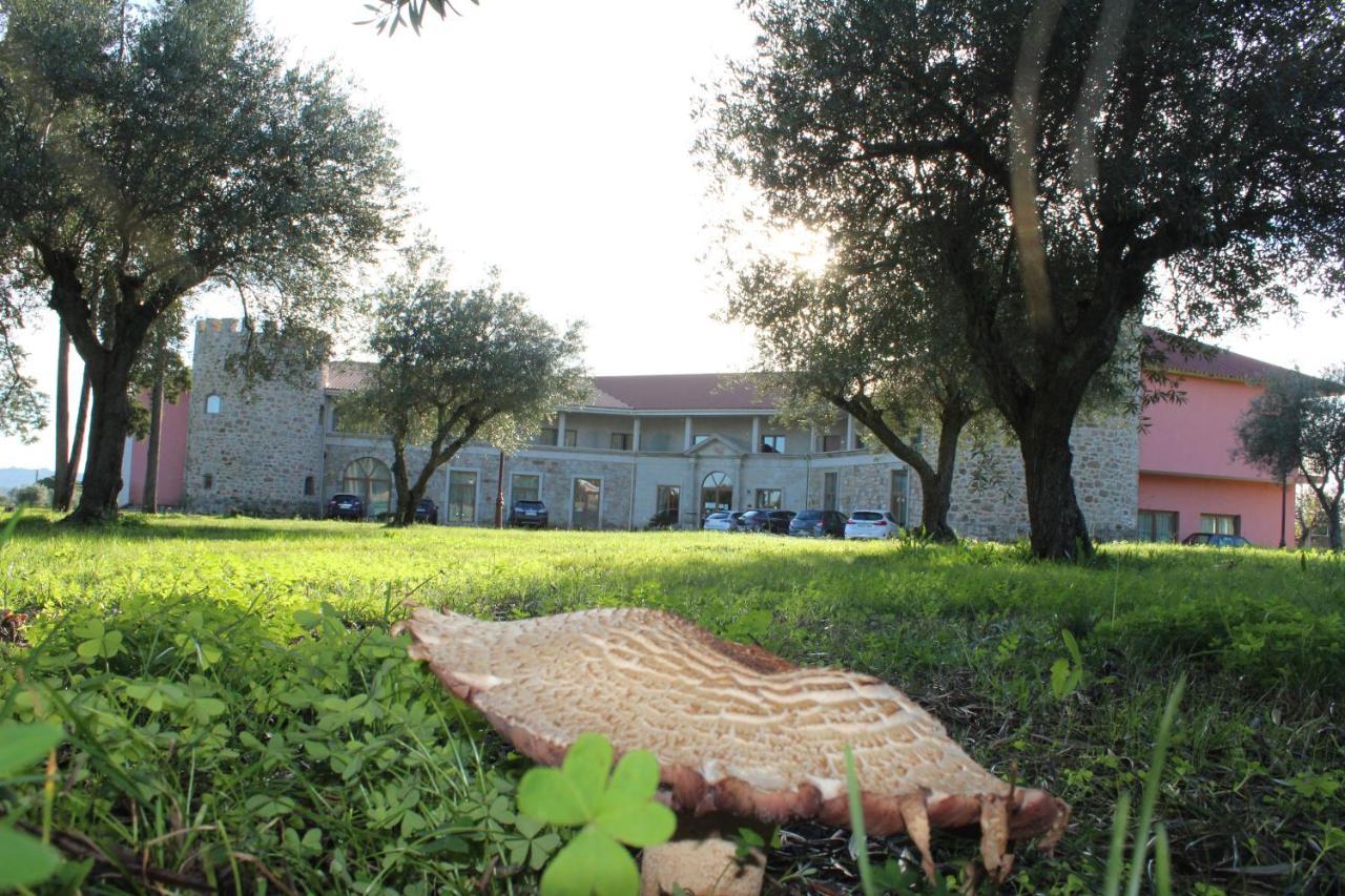 Palace Hotel & Spa Termas De Sao Tiago Penamacor Eksteriør billede